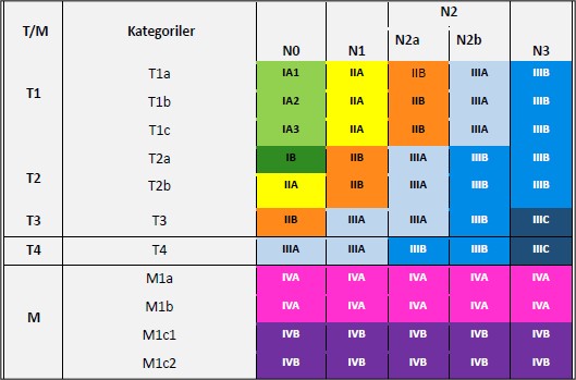 Türk Toraks Derneği Torasik Onkoloji Çalışma Grubu 